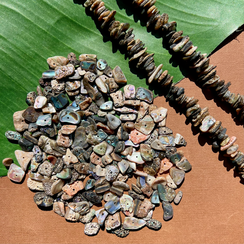 Abalone Chip Pieces - 100 Grams