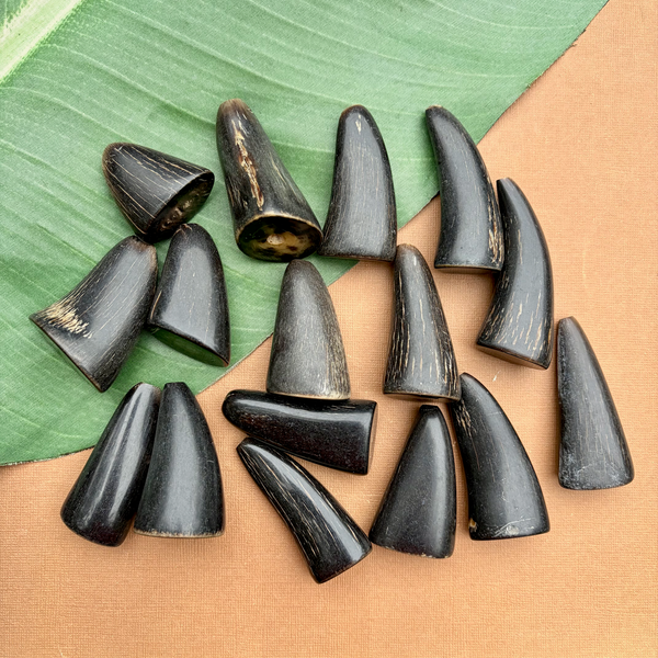 Horn Horns - 5 Piece