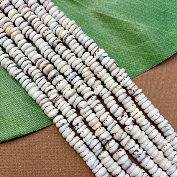 Tiger Puka Shell - 1 Strand