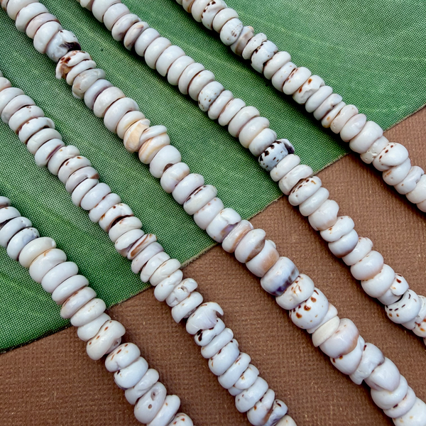 Tiger Puka Shell - 1 Strand