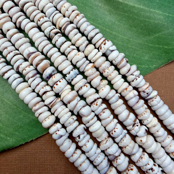 Tiger Puka Shell - 1 Strand