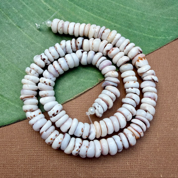 Tiger Puka Shell - 1 Strand