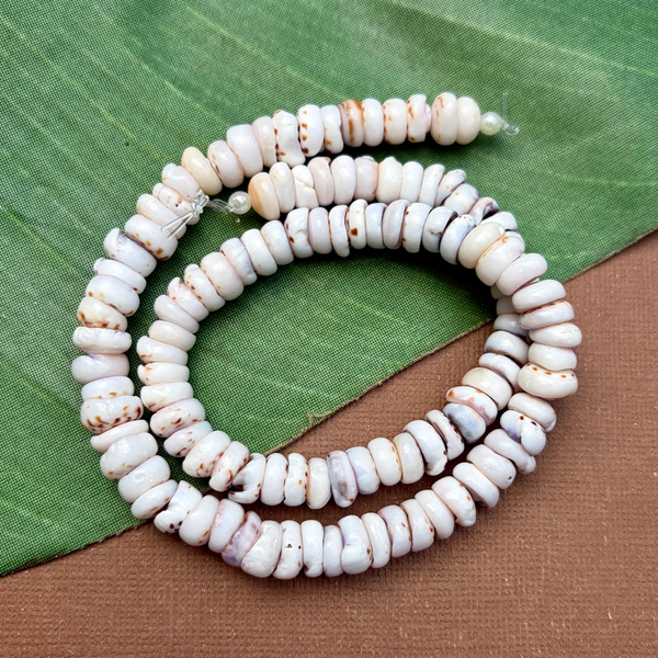Tiger Puka Shell - 1 Strand