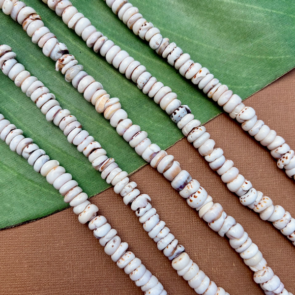 Tiger Puka Shell - 1 Strand