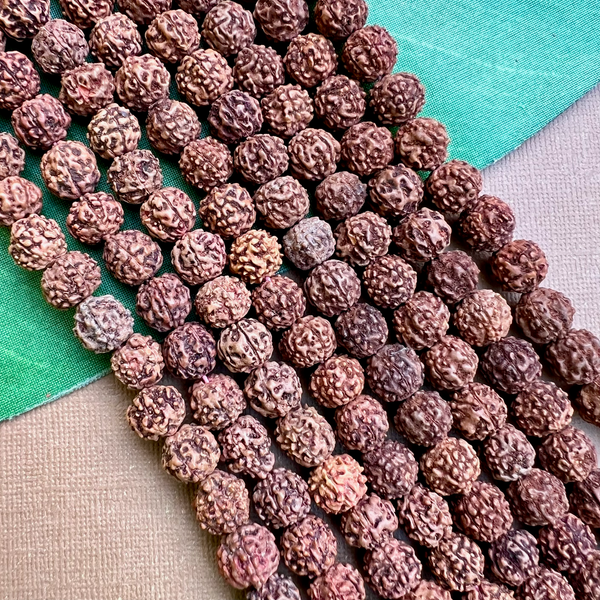 Rudraksha 10mm Beads - 108 Pieces