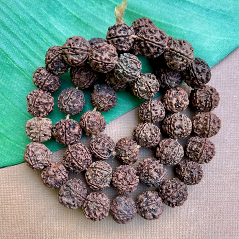 Rudraksha 18 to 20mm Beads - 108 Pieces