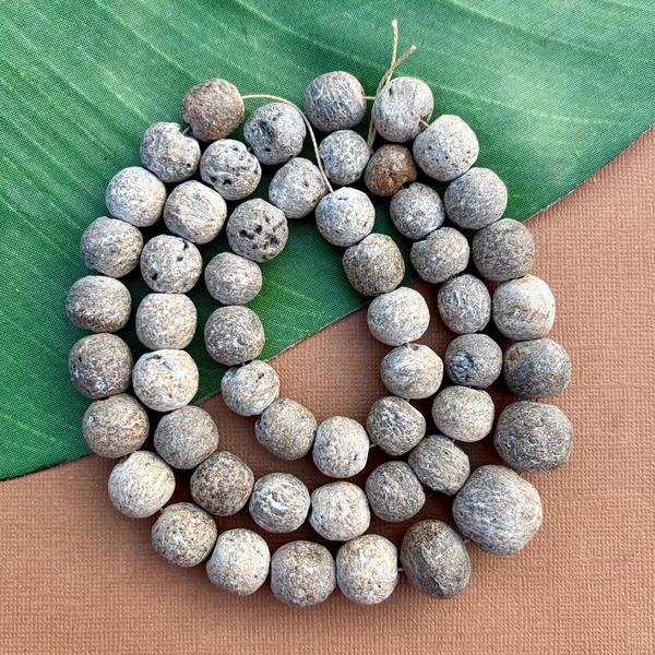 Fossilized Stegadon Bone Strands