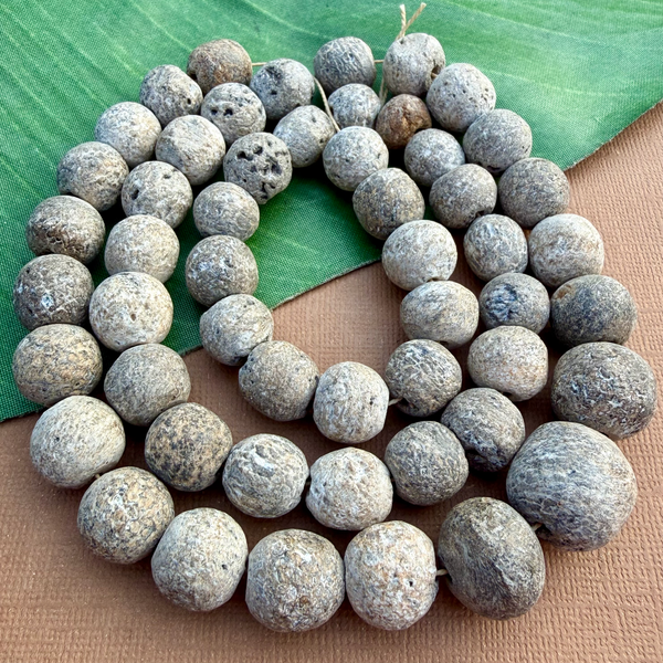 Fossilized Stegadon Bone Strands