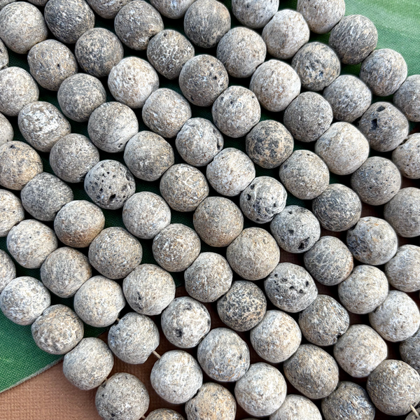 Fossilized Stegadon Bone Strands