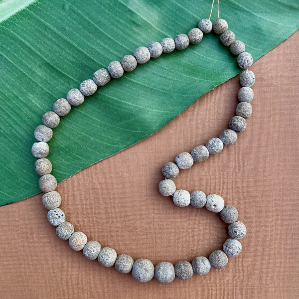 Fossilized Stegadon Bone Strands