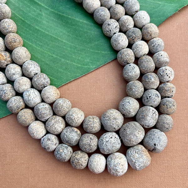 Fossilized Stegadon Bone Strands
