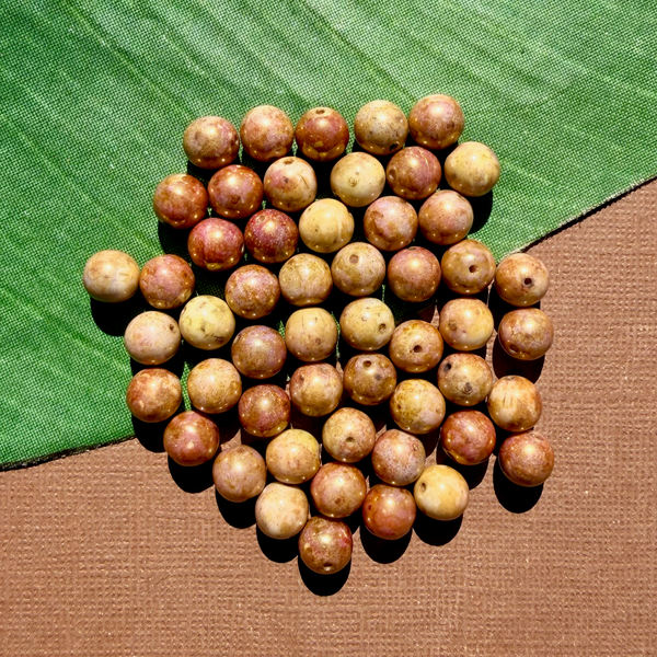 Golden Druk Beads - 50 Pieces