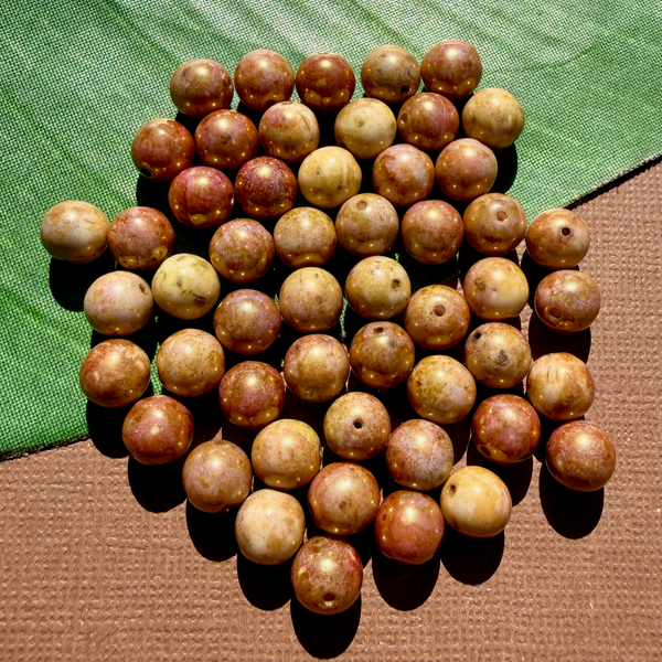 Golden Druk Beads - 50 Pieces