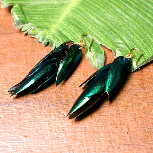 Jewel Beetle Earrings
