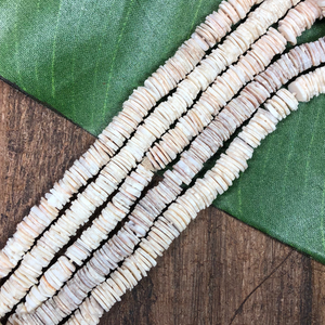 African Clam Shell - 12" Strand