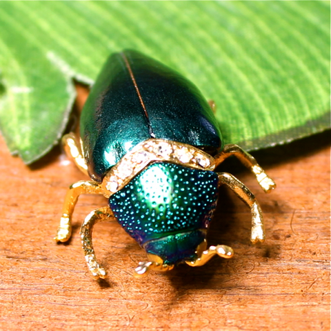 Jewel Beetle Pins
