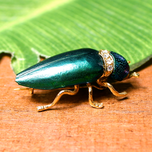 Jewel Beetle Pins