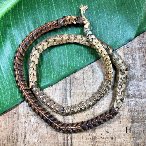 Snake Vertebrae 1 Strand