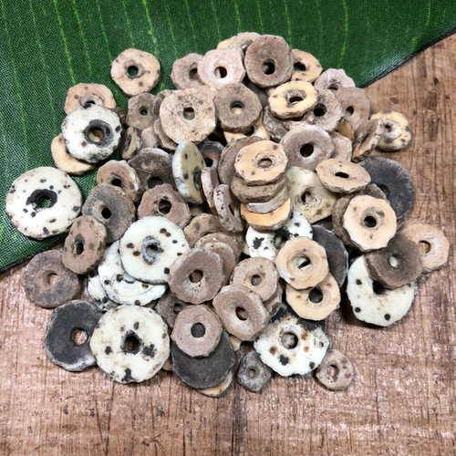 Ostrich Shell Beads - 50 Pieces