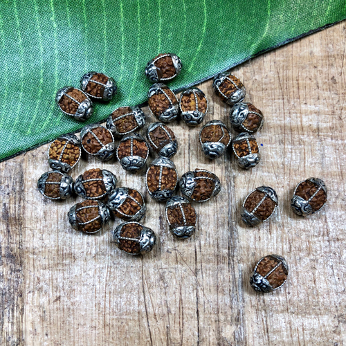 tiny rudraksha beads