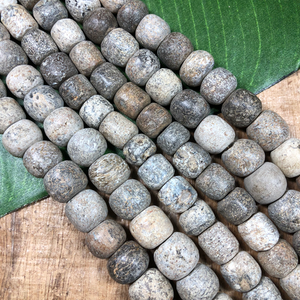 Fossilized Stegadon Beads